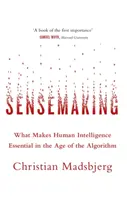 Sensemaking - Ce face inteligența umană esențială în era algoritmului - Sensemaking - What Makes Human Intelligence Essential in the Age of the Algorithm