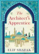 Ucenicul arhitectului - Architect's Apprentice