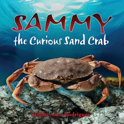 Sammy, crabul de nisip curios - Sammy the Curious Sand Crab