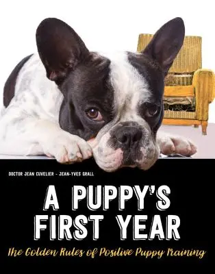 Regulile de aur ale dresajului pozitiv al cățelului: Tot ce trebuie să știți pentru primul an al cățelului dumneavoastră - The Golden Rules of Positive Puppy Training: Everything You Need to Know for Your Puppy's First Year