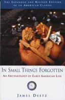 În Small Things Forgotten: O arheologie a vieții la începutul Americii - In Small Things Forgotten: An Archaeology of Early American Life