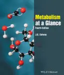 Metabolism de la o privire - Metabolism at a Glance