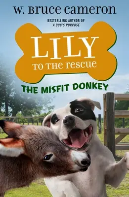 Lily la salvare: Măgarul neadaptat - Lily to the Rescue: The Misfit Donkey