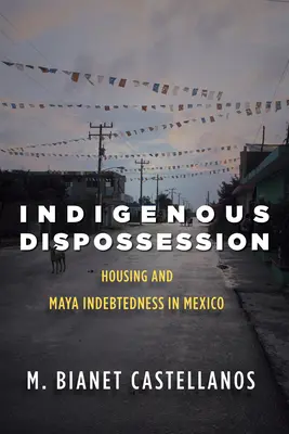 Deposedarea indigenă: Locuințele și îndatorarea mayașilor în Mexic - Indigenous Dispossession: Housing and Maya Indebtedness in Mexico