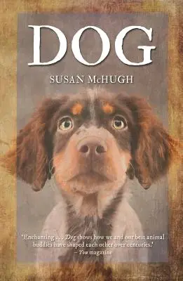 Câine - Dog