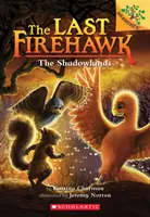 The Shadowlands: A Branches Book (Ultimul Firehawk #5), 5 - The Shadowlands: A Branches Book (the Last Firehawk #5), 5
