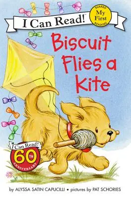 Biscuit zboară cu zmeul (Biscuit Flies a Kite) - Biscuit Flies a Kite