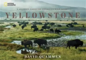 Yellowstone: O călătorie prin inima sălbatică a Americii - Yellowstone: A Journey Through America's Wild Heart