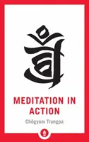 Meditația în acțiune - Meditation in Action