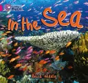 În mare - In the Sea