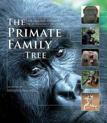 Arborele genealogic al primatelor: Diversitatea uimitoare a celor mai apropiate rude ale noastre - The Primate Family Tree: The Amazing Diversity of Our Closest Relatives