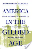 America în epoca Gilded: Ediția a treia - America in the Gilded Age: Third Edition
