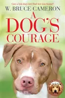 Curajul câinelui - Dog's Courage