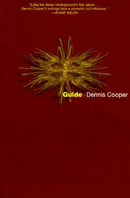 Ghid - Guide