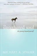 The Untethered Soul: Călătoria dincolo de tine însuți - The Untethered Soul: The Journey Beyond Yourself