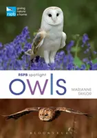 Rspb Spotlight - Bufnițe - Rspb Spotlight Owls