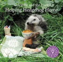 Ajutând ariciul să ajungă acasă - Helping Hedgehog Home