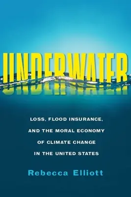 Sub apă: Loss, Flood Insurance, and the Moral Economy of Climate Change in the United States (Pierderi, asigurări împotriva inundațiilor și economia morală a schimbărilor climatice în Statele Unite) - Underwater: Loss, Flood Insurance, and the Moral Economy of Climate Change in the United States