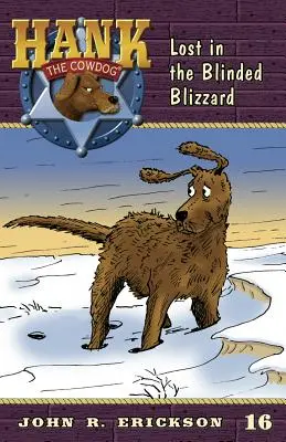 Pierdut în viscolul orbitor - Lost in the Blinded Blizzard