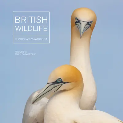Premiile British Wildlife Photography 10 - British Wildlife Photography Awards 10