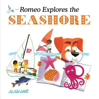Romeo explorează țărmul mării - Romeo Explores the Seashore