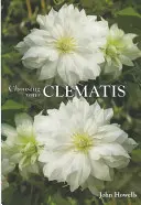 Alegerea Clematis dvs. - Choosing Your Clematis