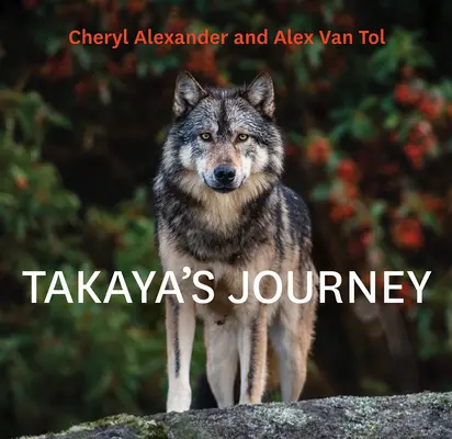Călătoria lui Takaya - Takaya's Journey