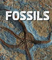 Fosile - Fossils