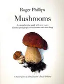 Ciuperci - Mushrooms