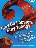 Bug Club Independent Non Fiction Year 3 Brown A How Do Lobsters Stay Young?