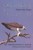 Natura estuarului Chesapeake Bay: Un ghid de teren - Chesapeake Bay Nature of the Estuary: A Field Guide