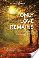 Doar dragostea rămâne: Lessons from the Dying on the Meaning of Life (Lecții de la muribunzi despre sensul vieții): Eutanasie sau îngrijiri paliative? - Only Love Remains: Lessons from the Dying on the Meaning of Life: Euthanasia or Palliative Care?