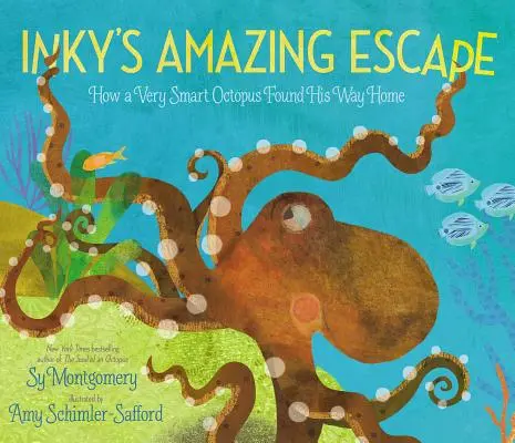 Evadarea uimitoare a lui Inky: Cum și-a găsit drumul spre casă un caracatiță foarte inteligent - Inky's Amazing Escape: How a Very Smart Octopus Found His Way Home