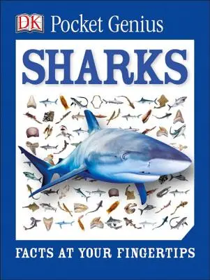 Geniu de buzunar: Rechini: Fapte la îndemâna ta - Pocket Genius: Sharks: Facts at Your Fingertips