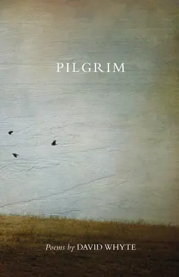Pilgrim (revizuită) (revizuită) - Pilgrim (Revised) (Revised)
