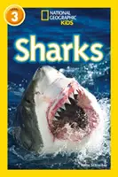 Rechini - Nivelul 3 - Sharks - Level 3
