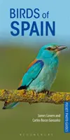 Păsări din Spania - Birds of Spain