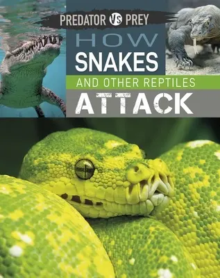 Predator vs Pradă: Cum atacă șerpii și alte reptile - Predator vs Prey: How Snakes and other Reptiles Attack