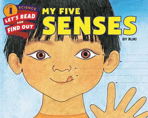Cele cinci simțuri ale mele - My Five Senses