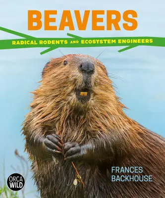 Castorii: Rozătoare radicale și ingineri ai ecosistemelor - Beavers: Radical Rodents and Ecosystem Engineers