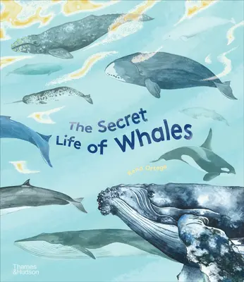 Viața secretă a balenelor - The Secret Life of Whales
