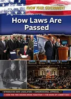 Cum sunt adoptate legile - How Laws Are Passed