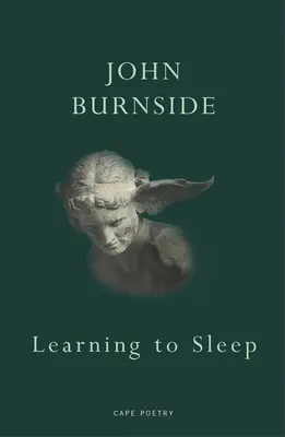 Învățând să dorm - Learning to Sleep