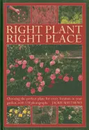 Planta potrivită, locul potrivit: Alegerea plantei perfecte pentru fiecare loc din grădină, cu 120 de fotografii - Right Plant Right Place: Choosing the Perfect Plant for Every Location in Your Garden, with 120 Photographs