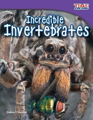 Incredibile nevertebrate - Incredible Invertebrates