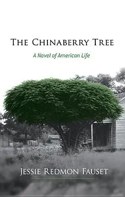 The Chinaberry Tree: Un roman al vieții americane - The Chinaberry Tree: A Novel of American Life