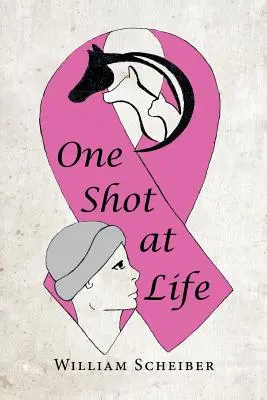 O șansă la viață - One Shot at Life