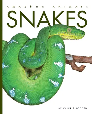 Șerpi - Snakes