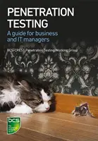 Penetration Testing: Un ghid pentru afaceri și IT Managers - Penetration Testing: A Guide for Business and It Managers