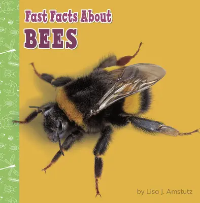 Fapte rapide despre albine - Fast Facts about Bees